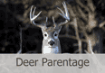 Deer Parentage