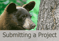 Submitting a Project